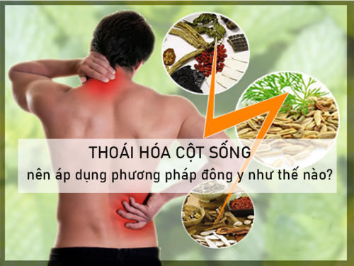 Thoai-hoa-cot-song-nen-ap-dung-phuong-phap-dong-y-nhu-the-nao.jpg